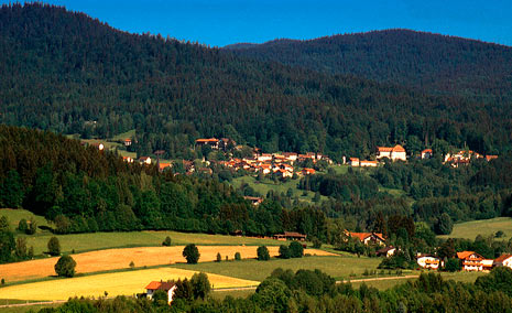 Hopezi.de: Haus Hollerbusch,94227,Zwiesel