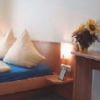 Hopezi.de: Hotel Landgasthof Ratz,77866,Rheinau